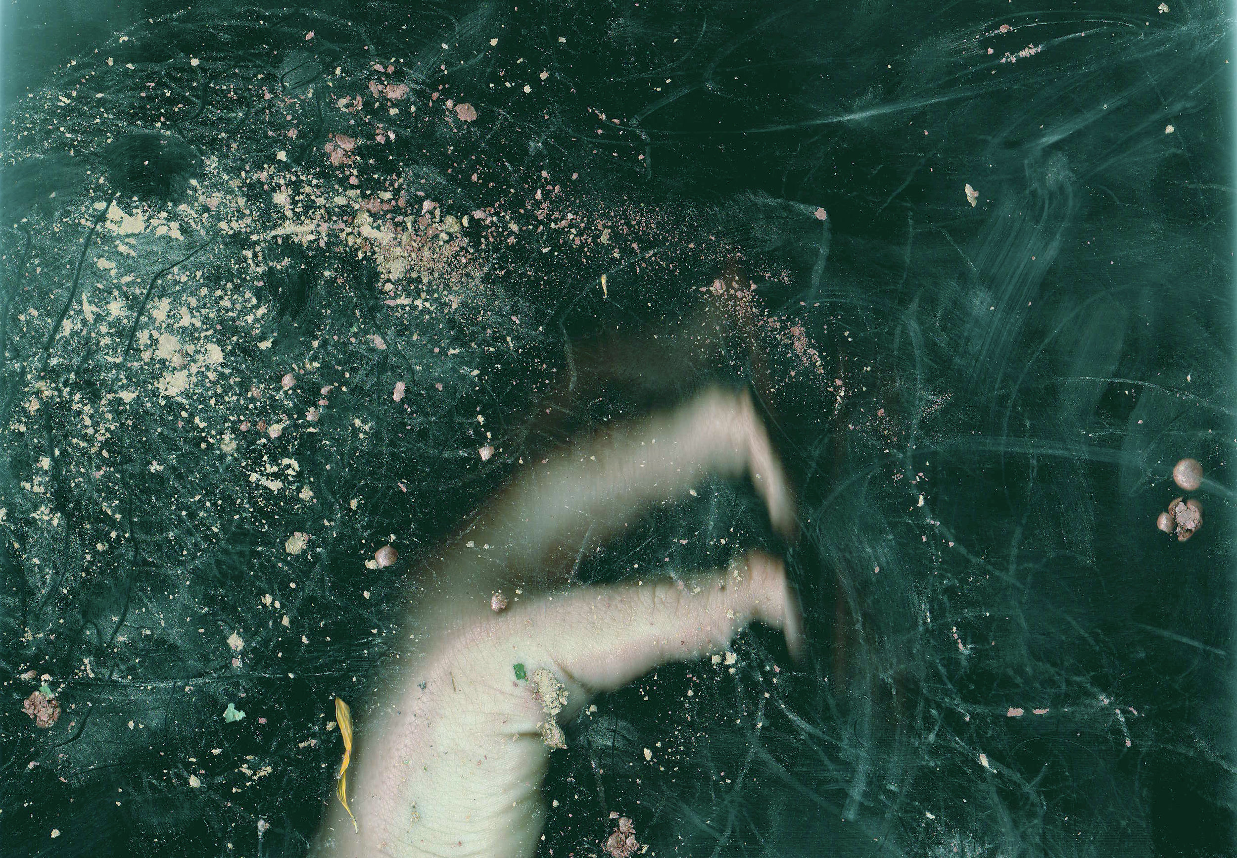 From the series PLATEN
