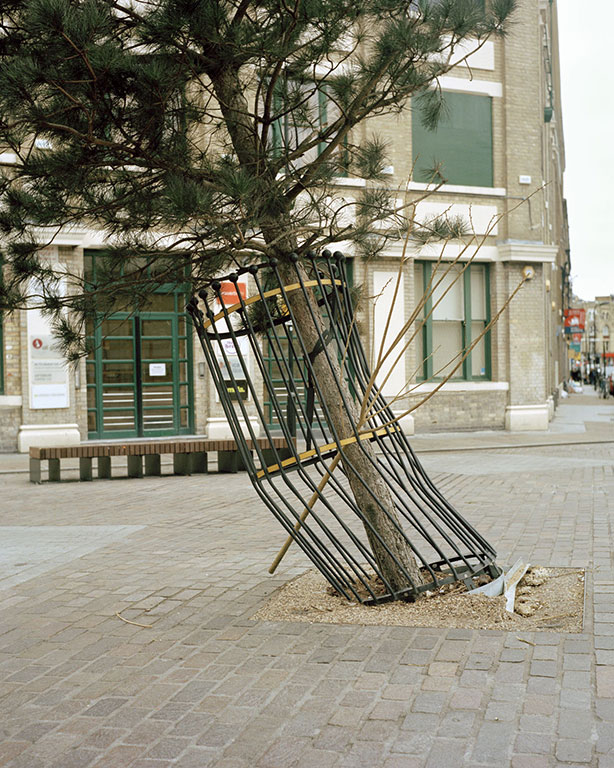 From the series The Anthropology of Plants