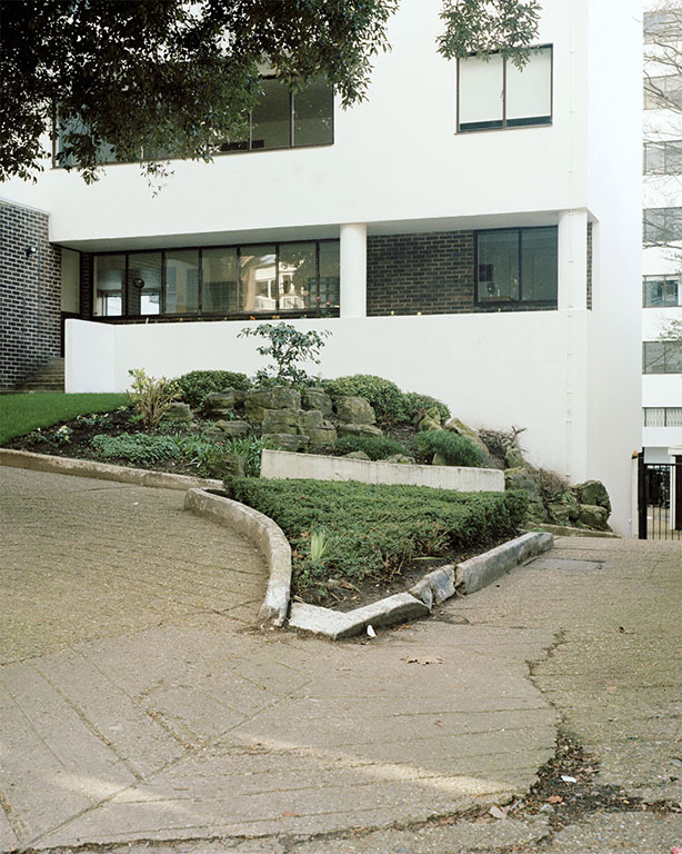 From the series The Anthropology of Plants