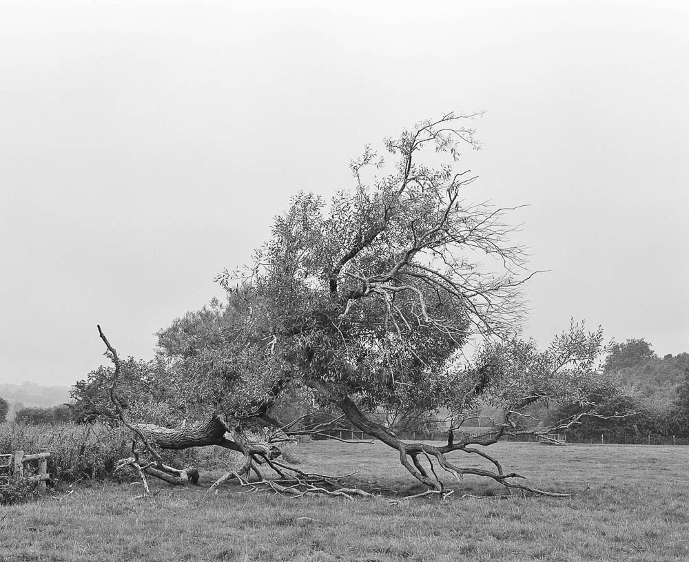 From the series White Rocks