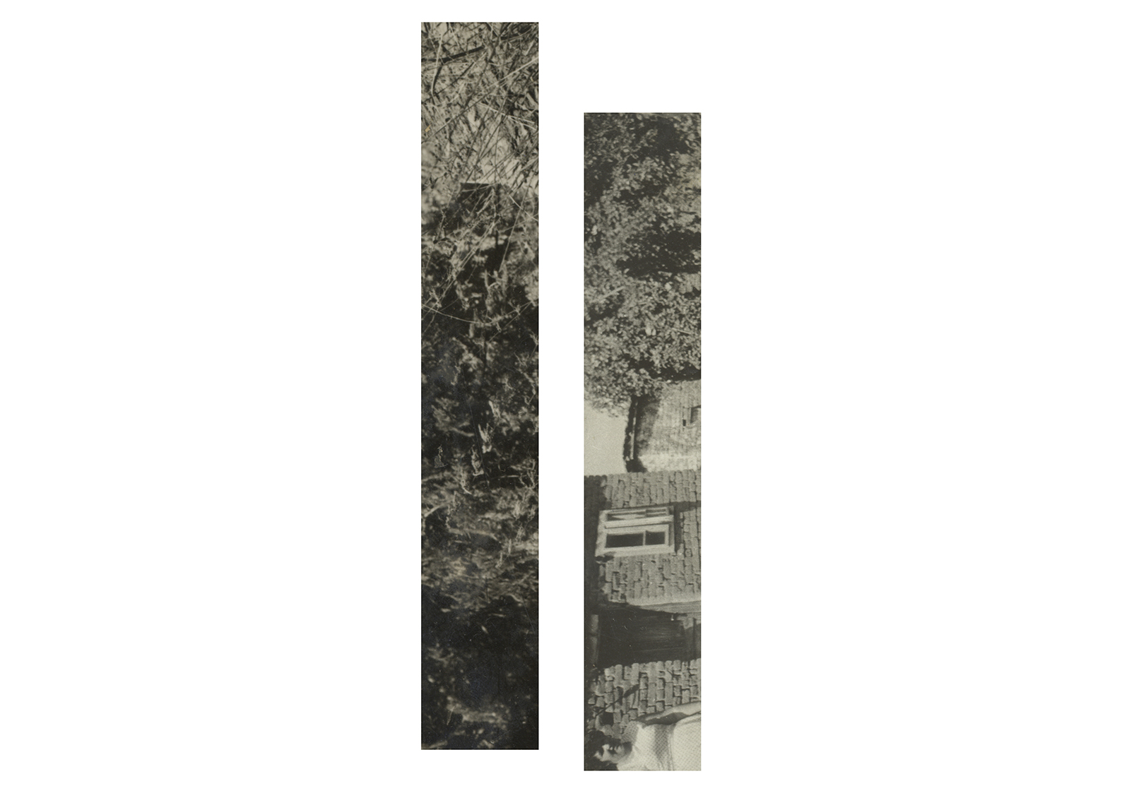 From the series Slices of Red