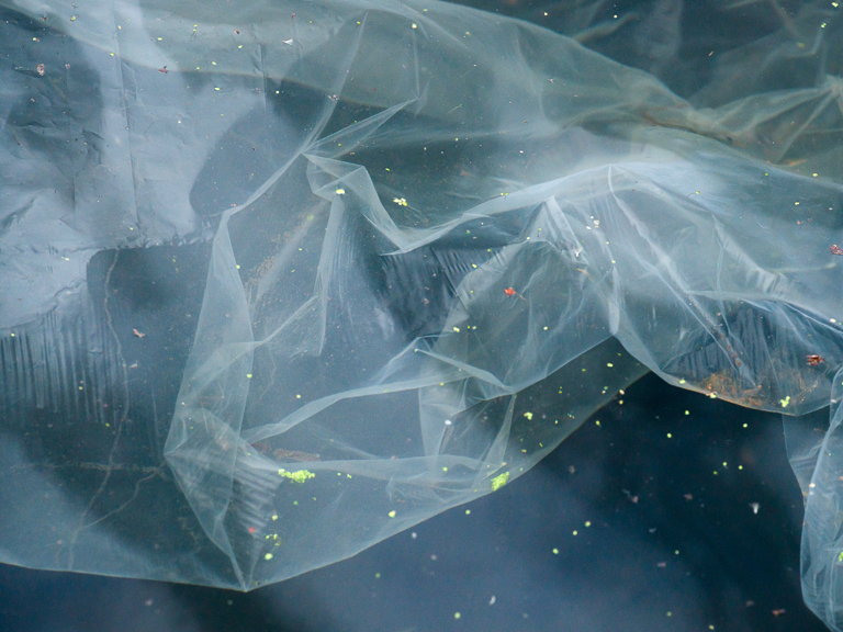 From the series Along the Hackney Canal
