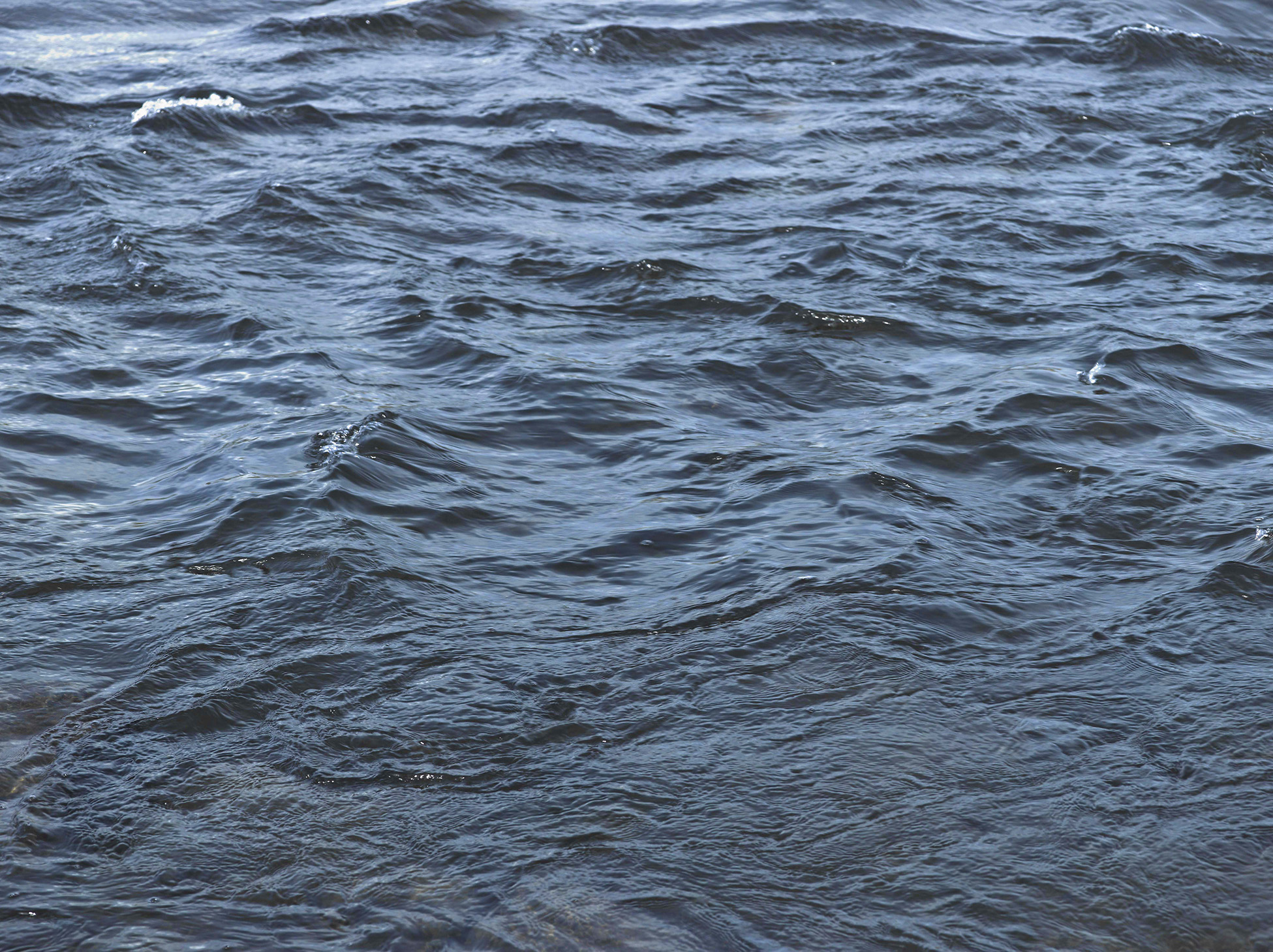 From the series Deluge