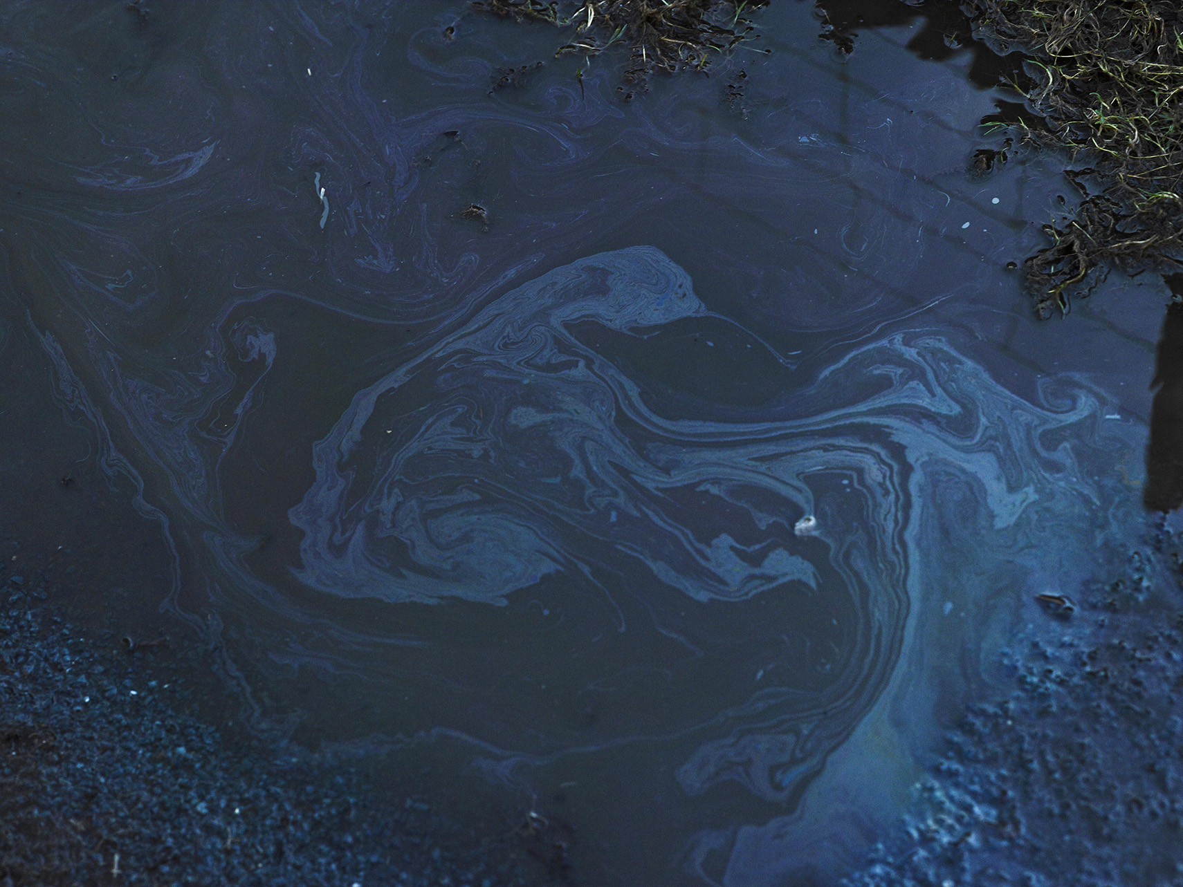 From the series Deluge