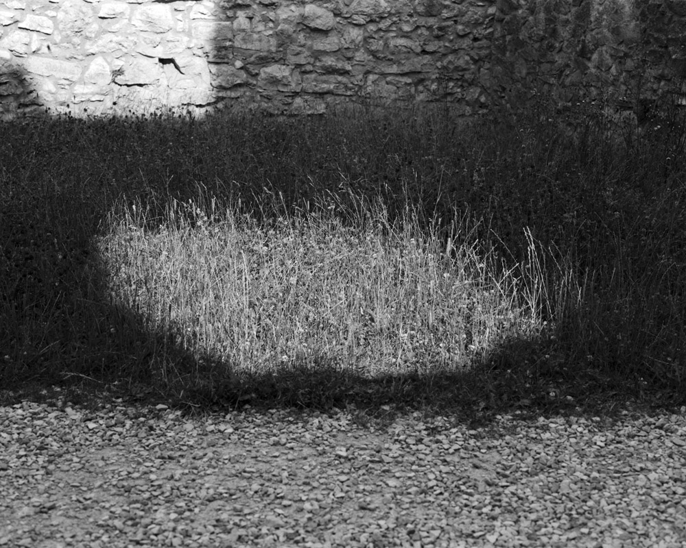From the series From the trees we run between