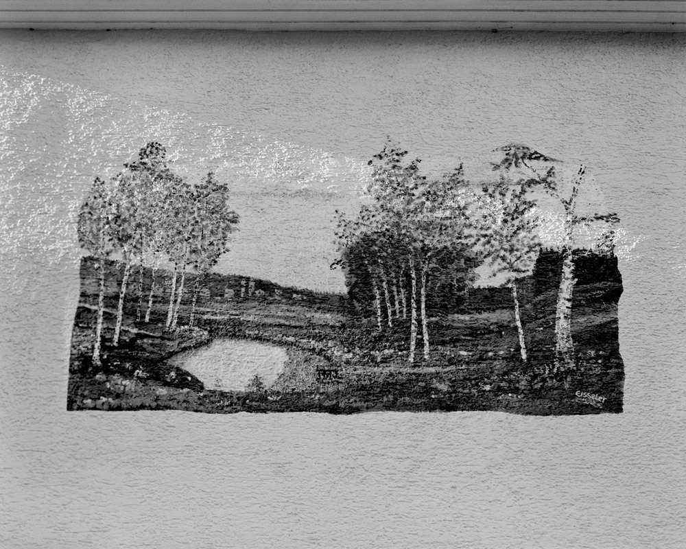 From the series From the trees we run between