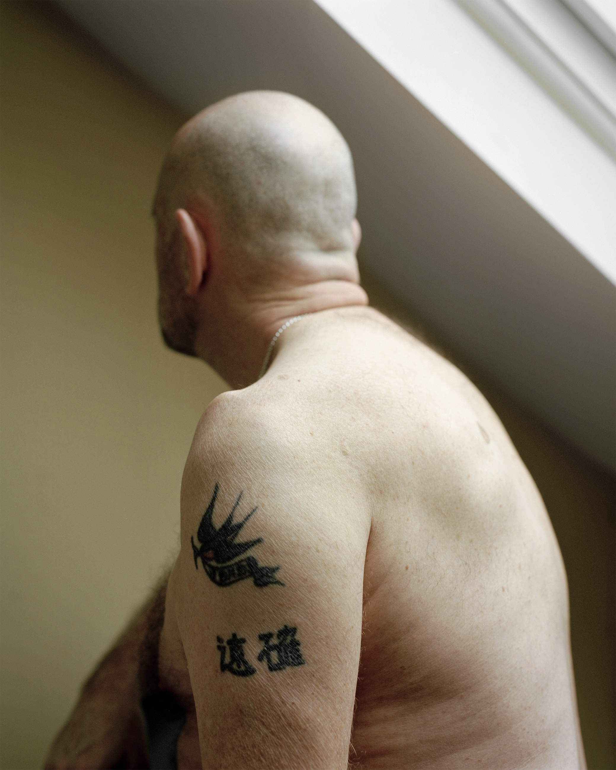 From the series BLUEBIRDS