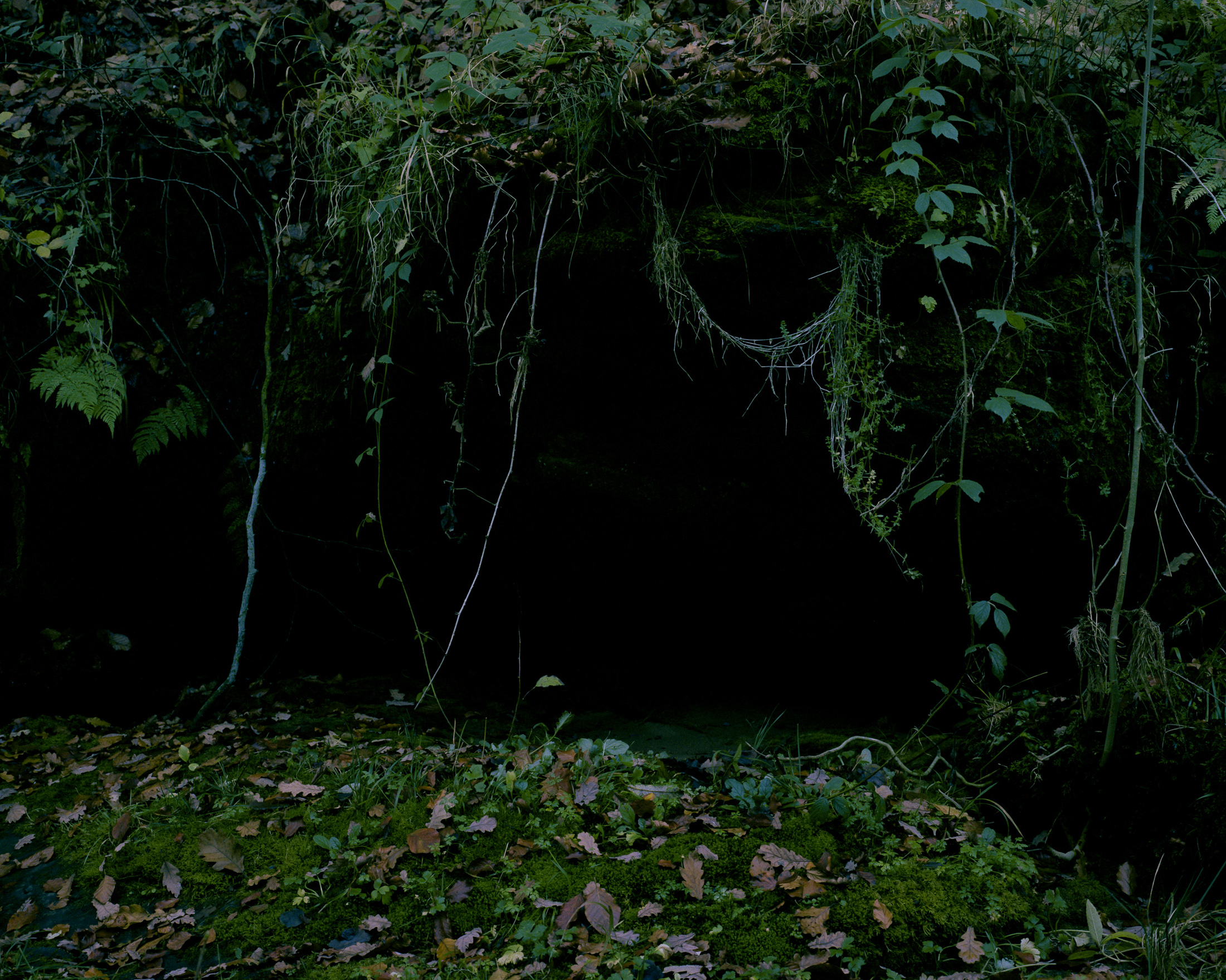 Untitled, 2016. The Striding Place.