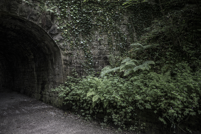 From the series the Village