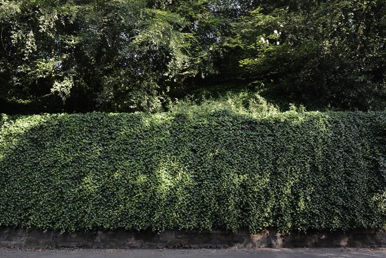 From the series the Village