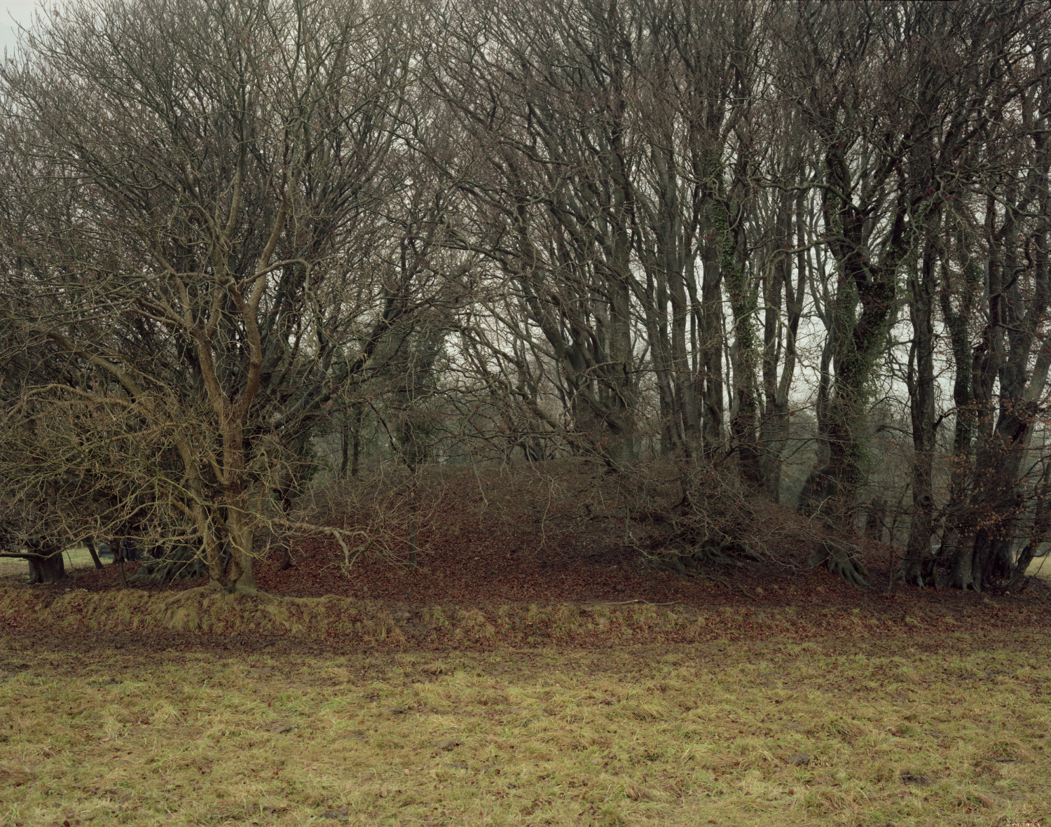 From the series This England, Old Already