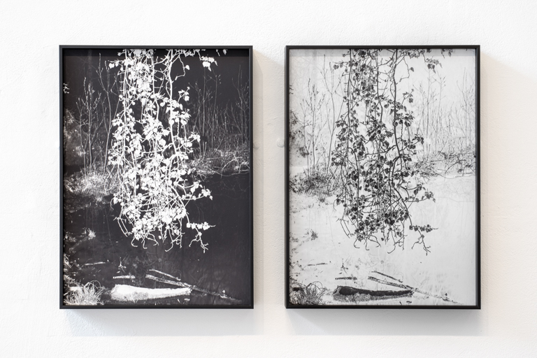 Images from the series Assembly