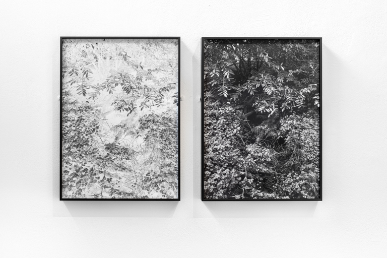 Images from the series Assembly