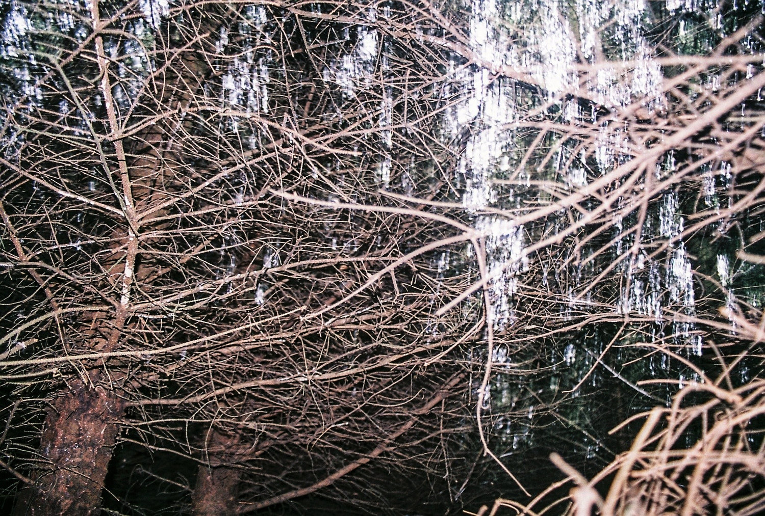 From the series We Live By Tha’ Water