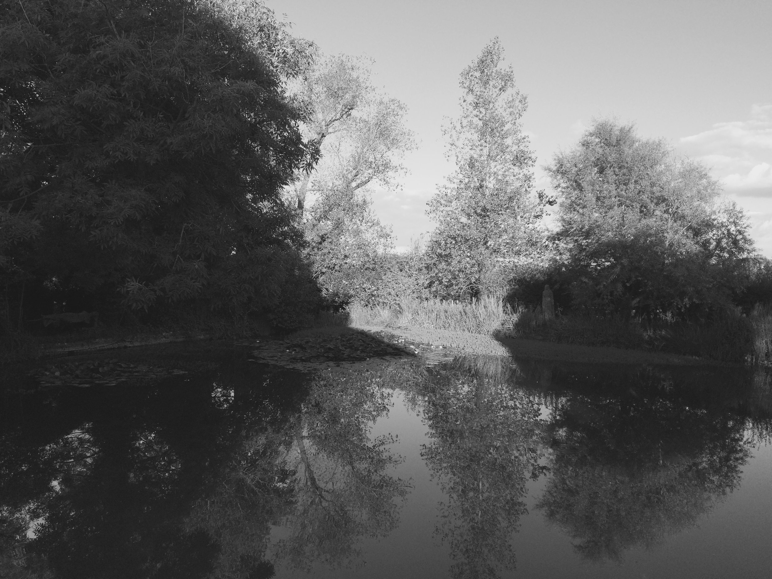 Pond at Charleston , Charleston House, Firle, Sussex, 2016