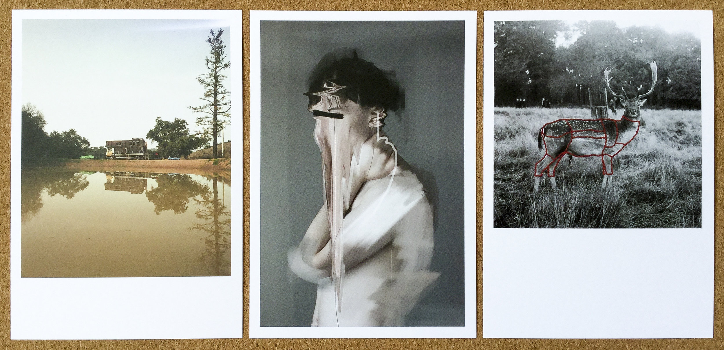 Ben Stewart , Nomad. Matthew Mottram, Gaze . Harriet Foster-Thornton , Still-Hunting .