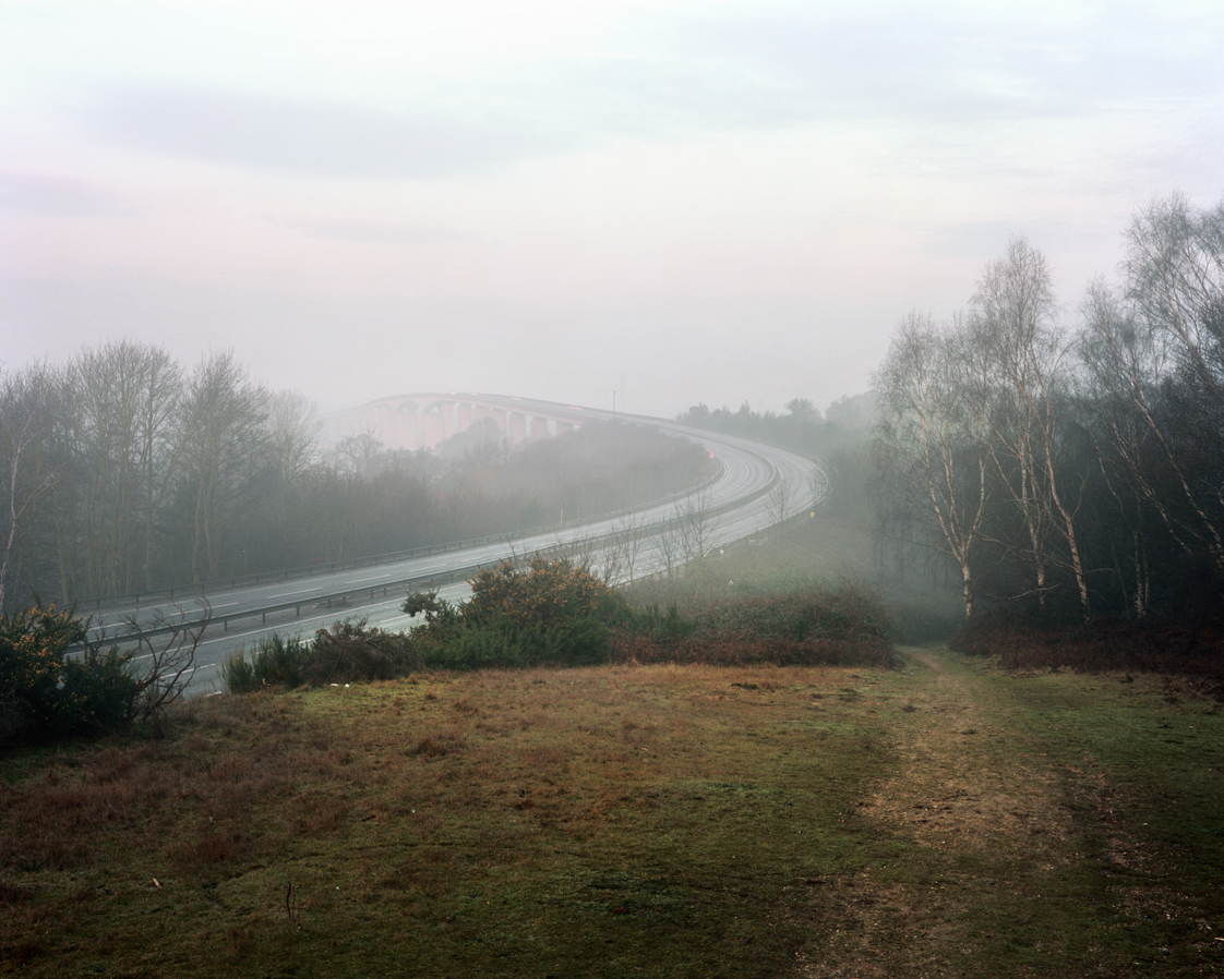 Images from the series Sandlings