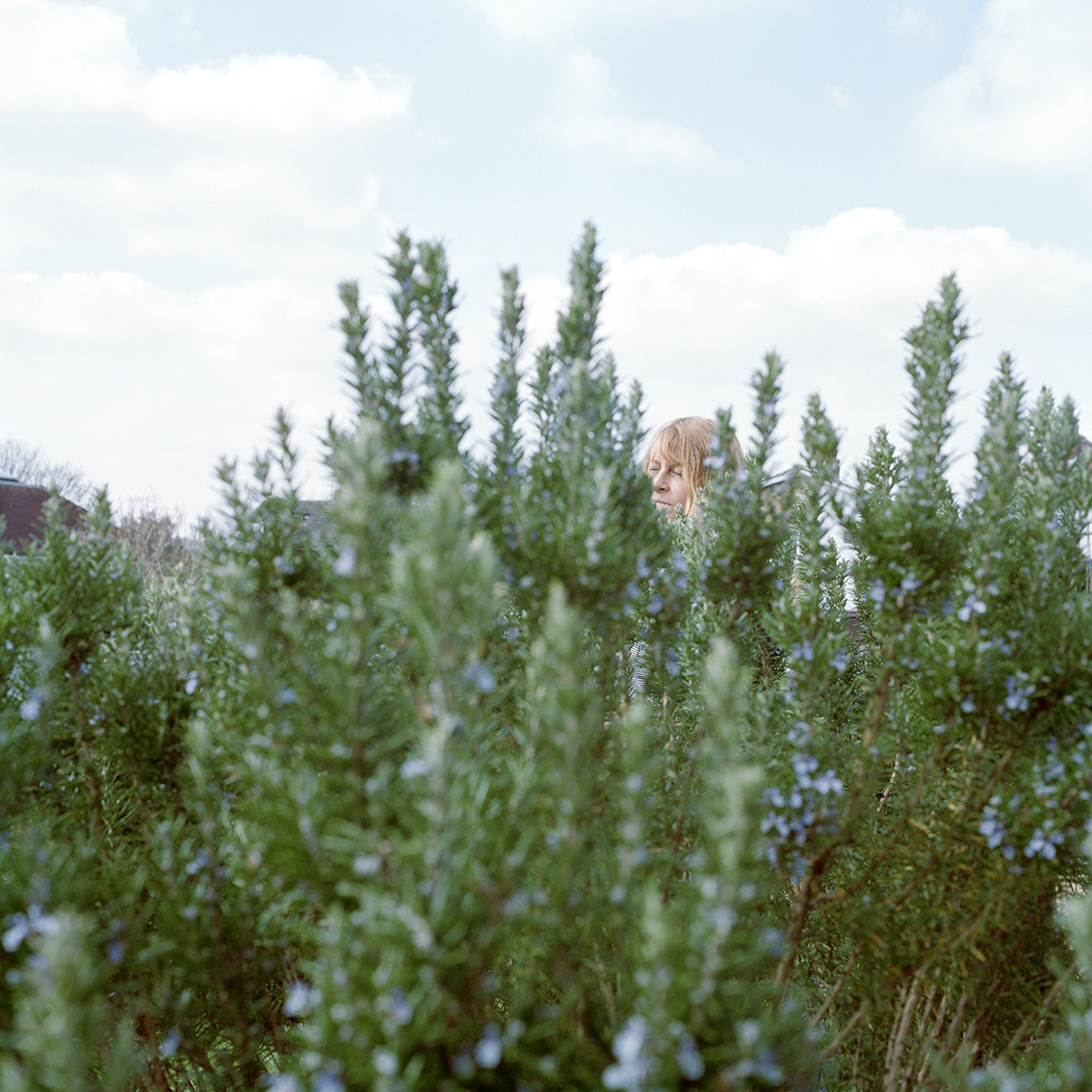 Images from the series Familiar Gardens