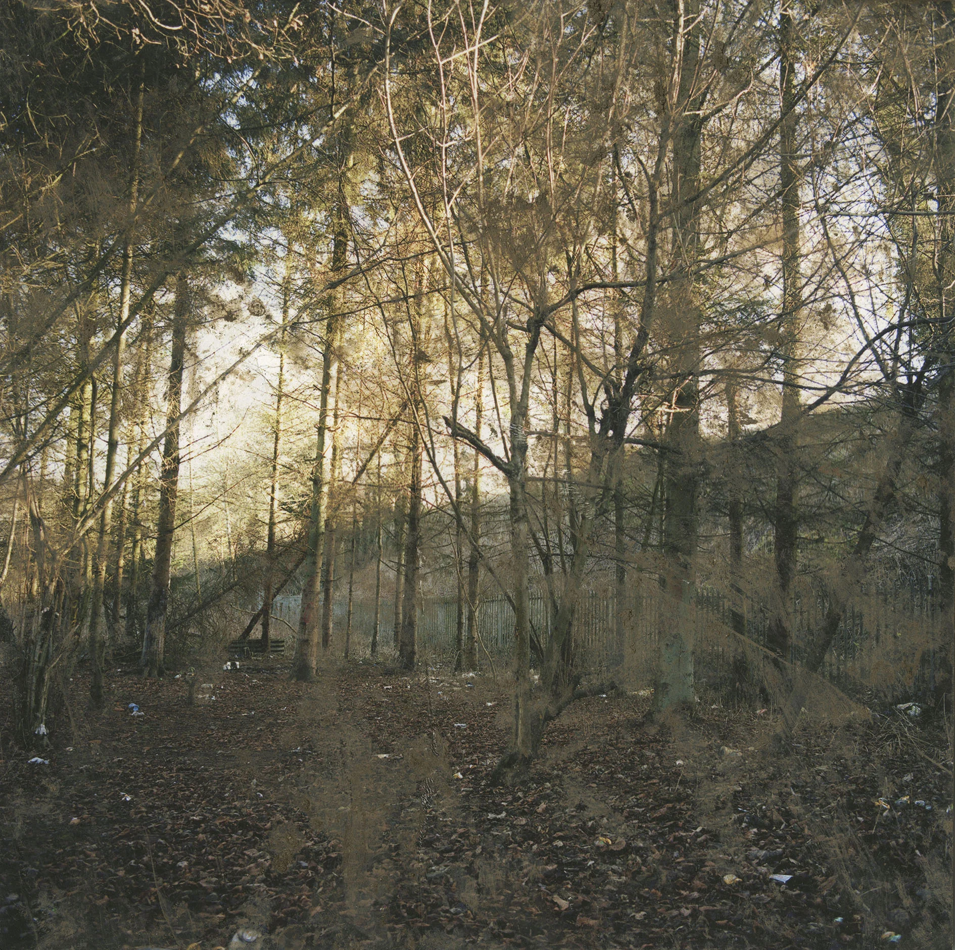 From the series Inhabiting Edgelands