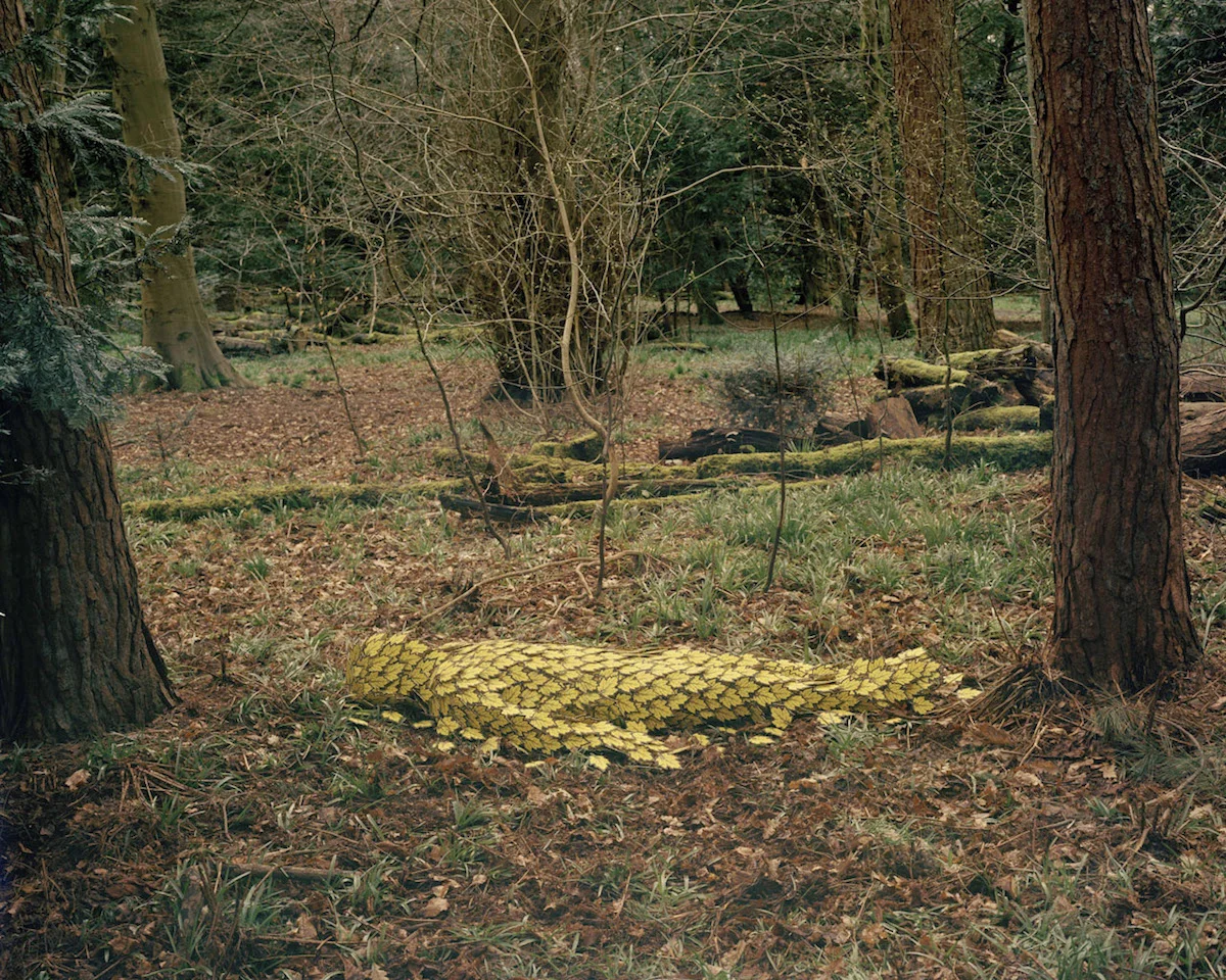 Image from the series Senseless