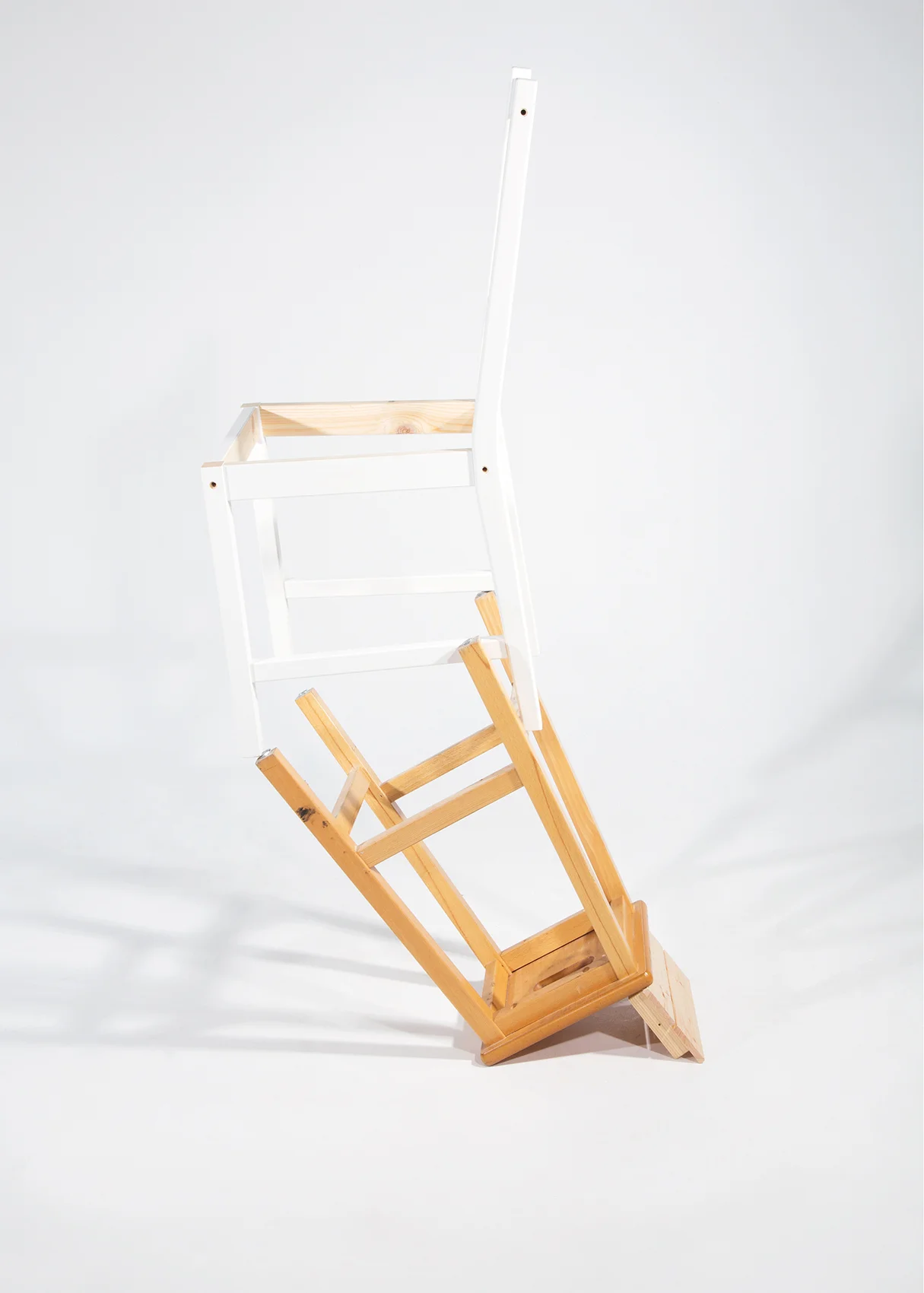 From the series Knock on Wood