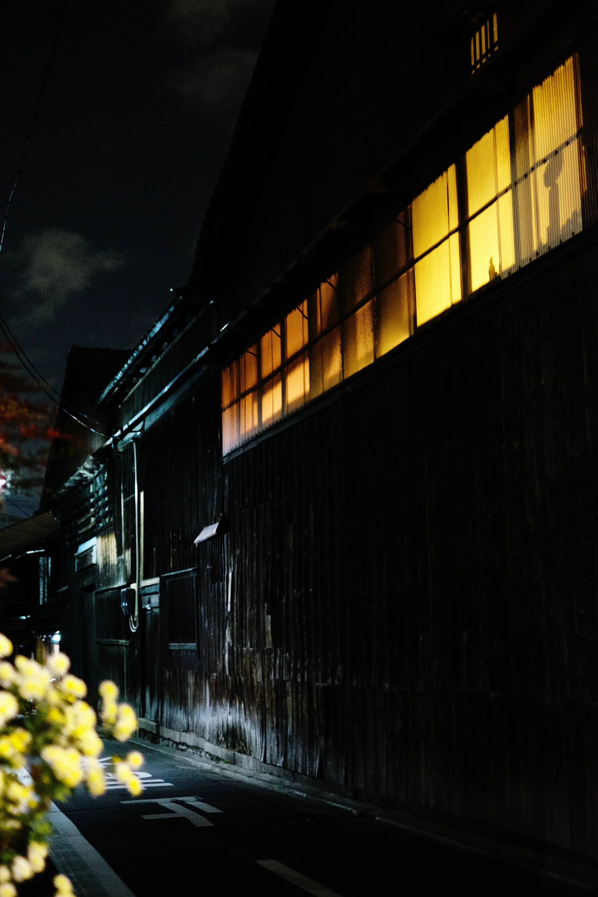 Nat Urazmetova - Kyoto.jpg