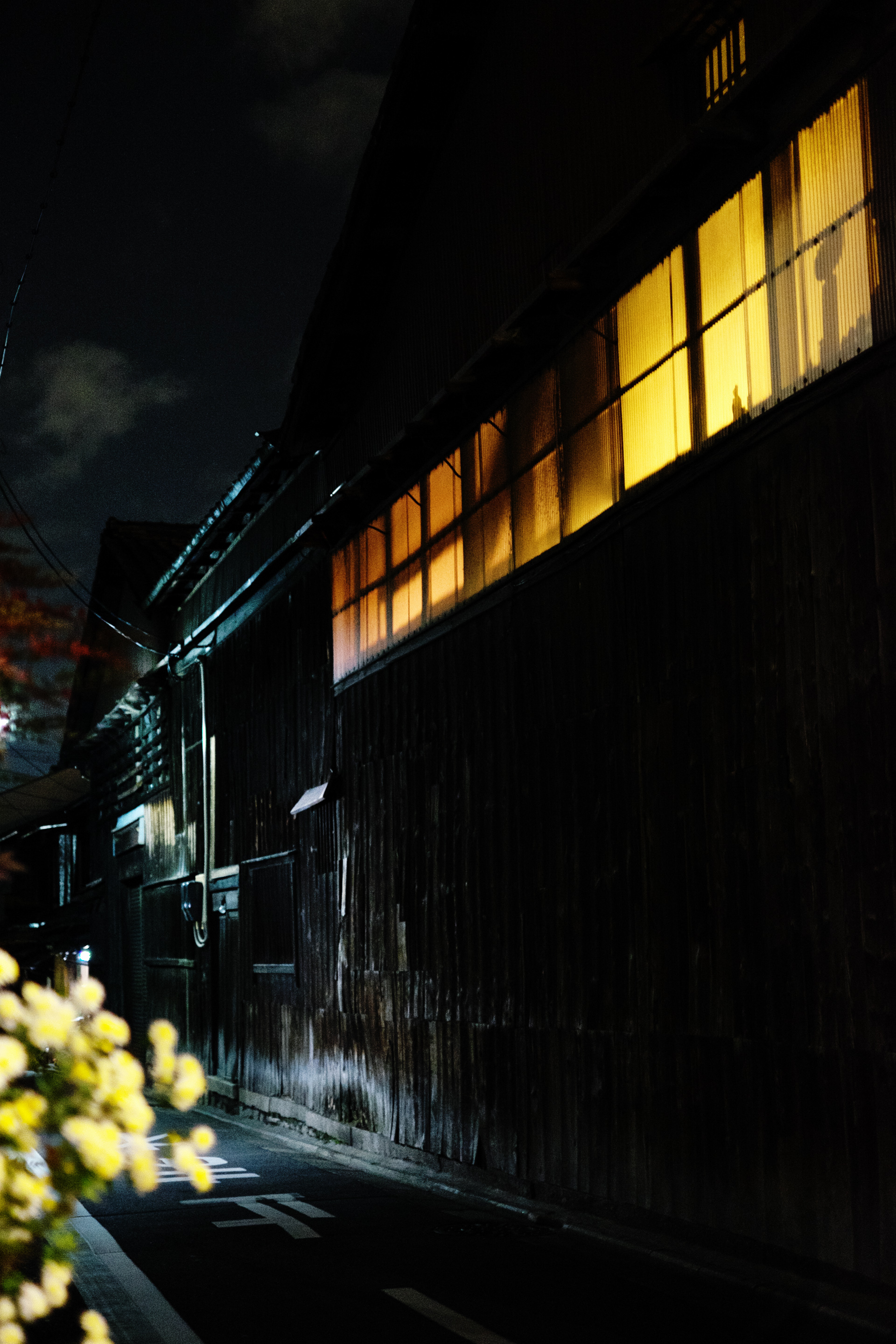 Nat Urazmetova - Kyoto.jpg