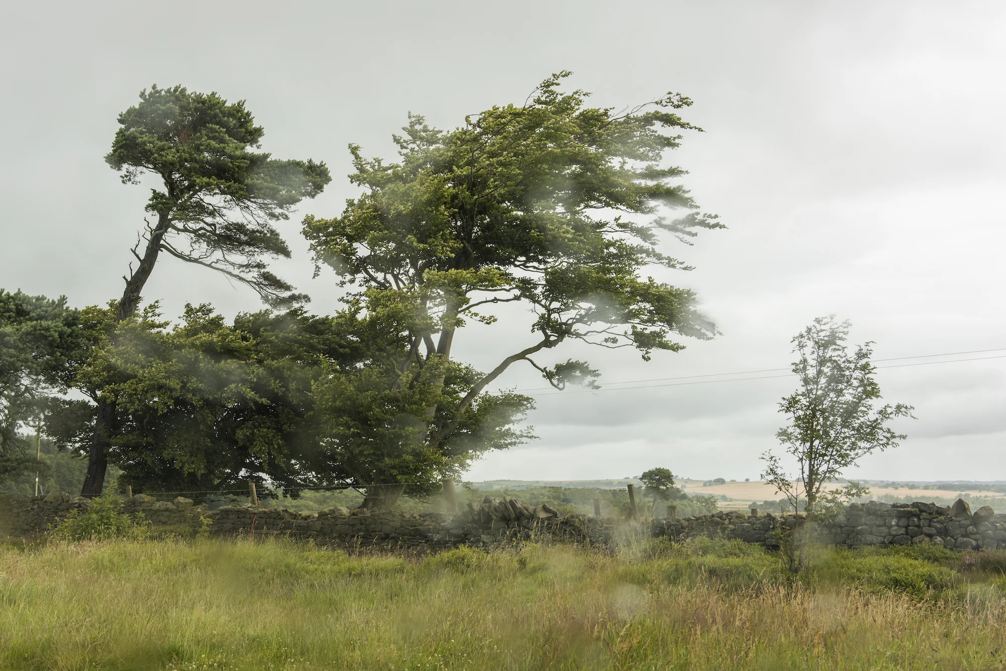 From the series Whereness: The Landscape of Uncertainty