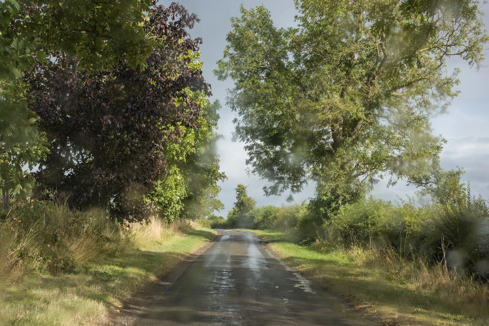 From the series Whereness: The Landscape of Uncertainty