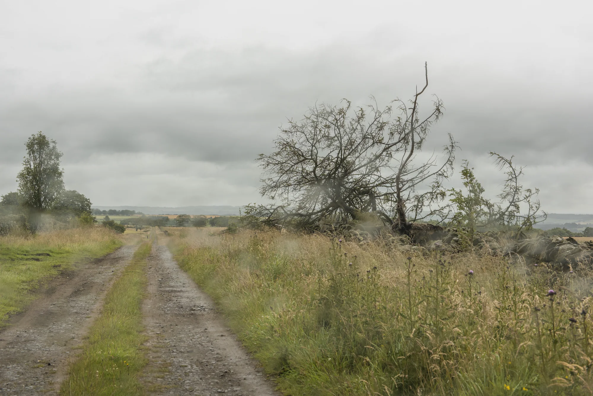 From the series Whereness: The Landscape of Uncertainty