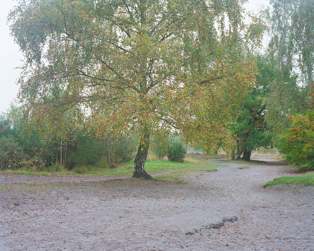 From the series Walking Home