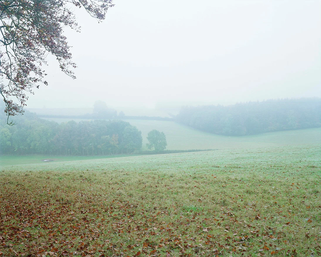 From the series Walking Home