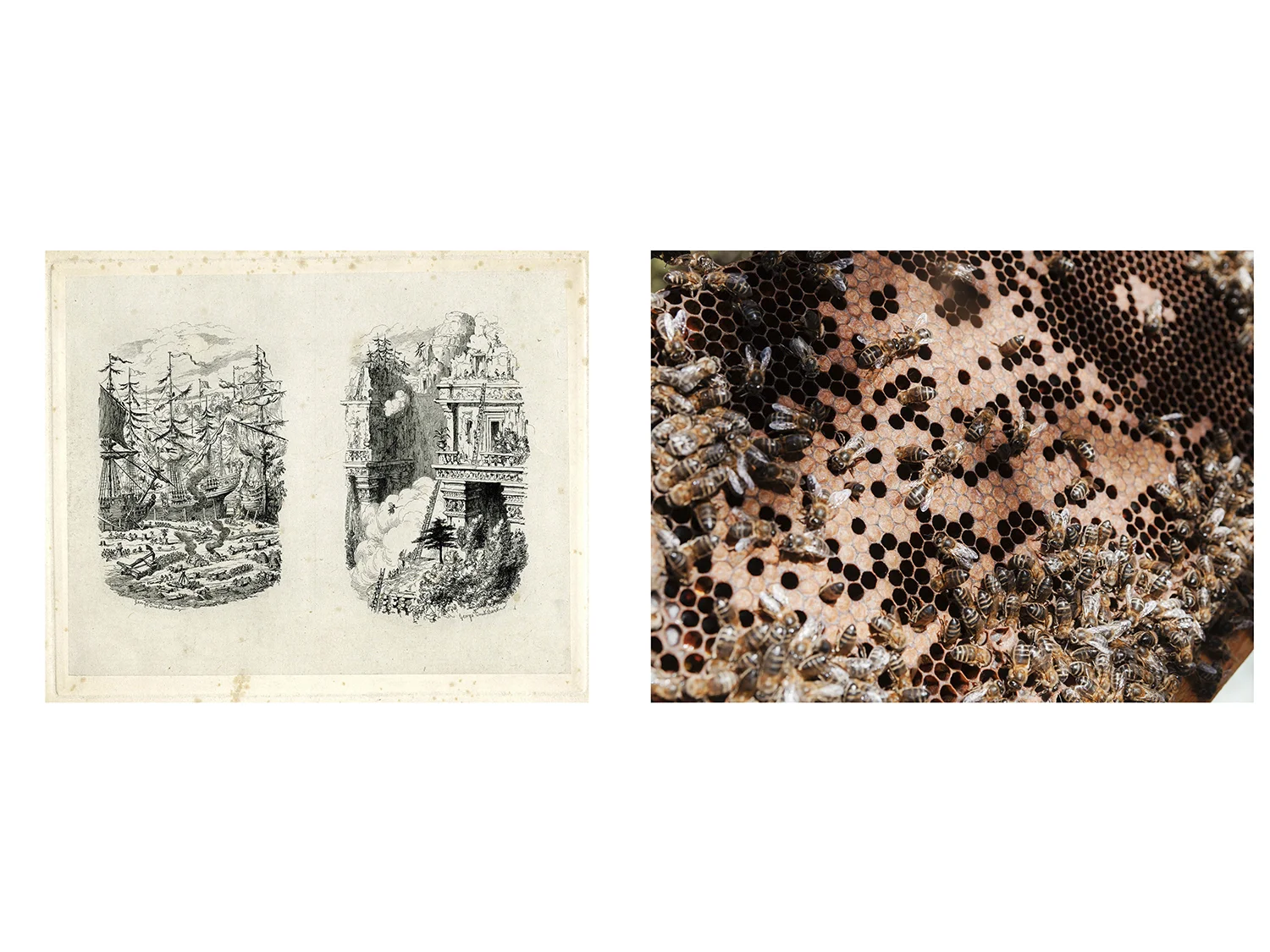 From the photobook To make a prairie