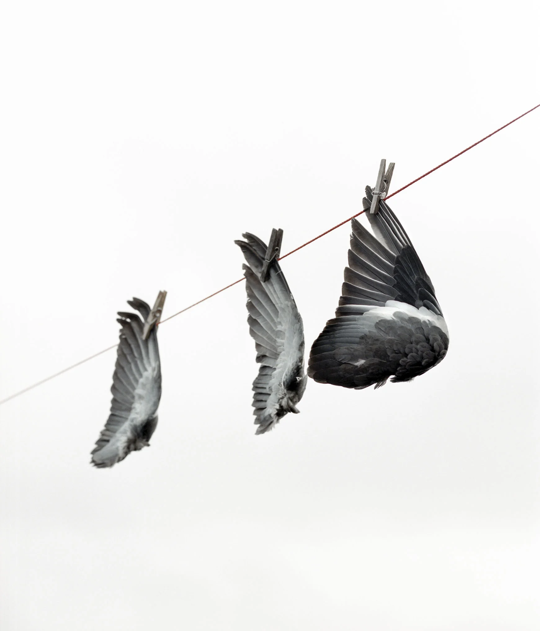 From the series Miles Away