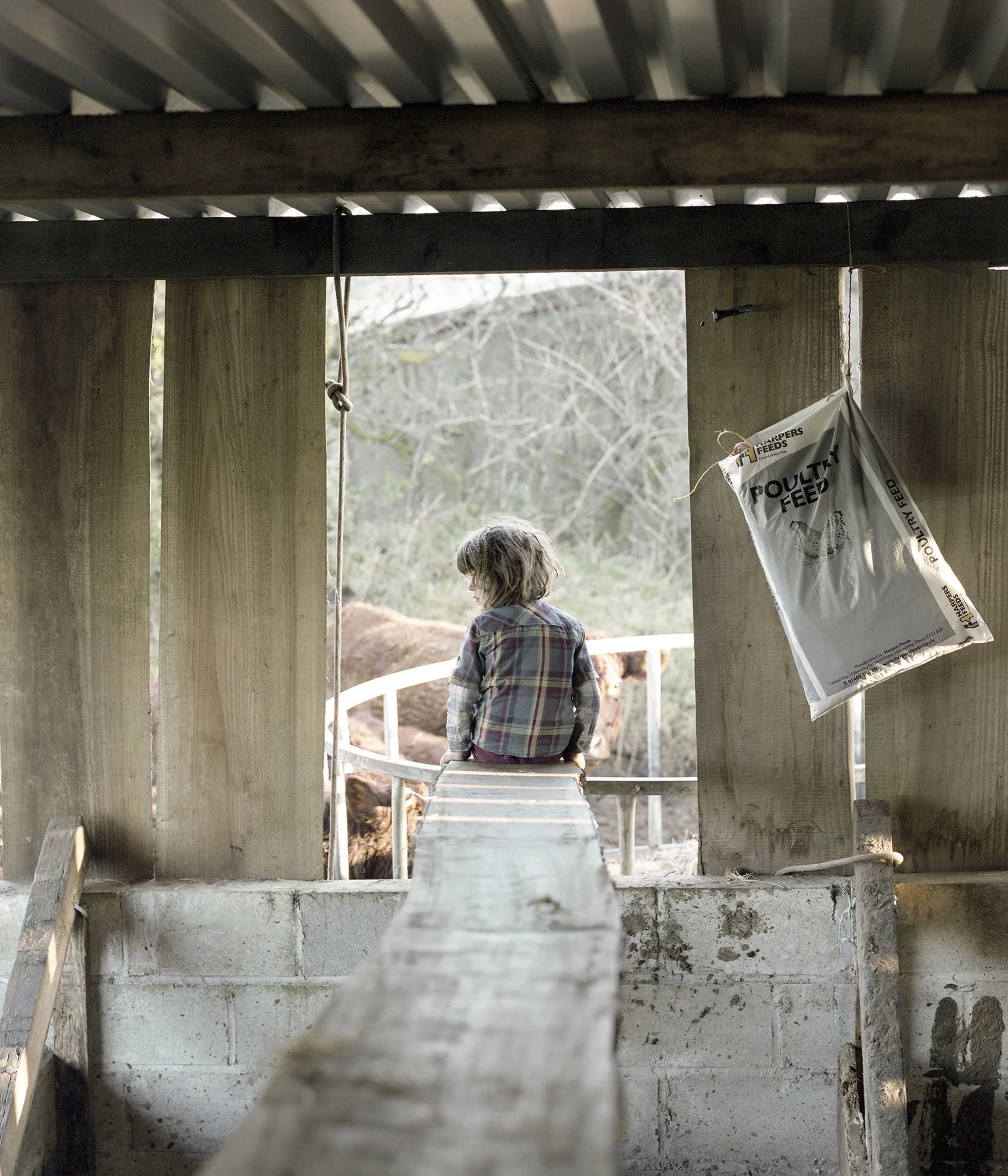 From the series Miles Away