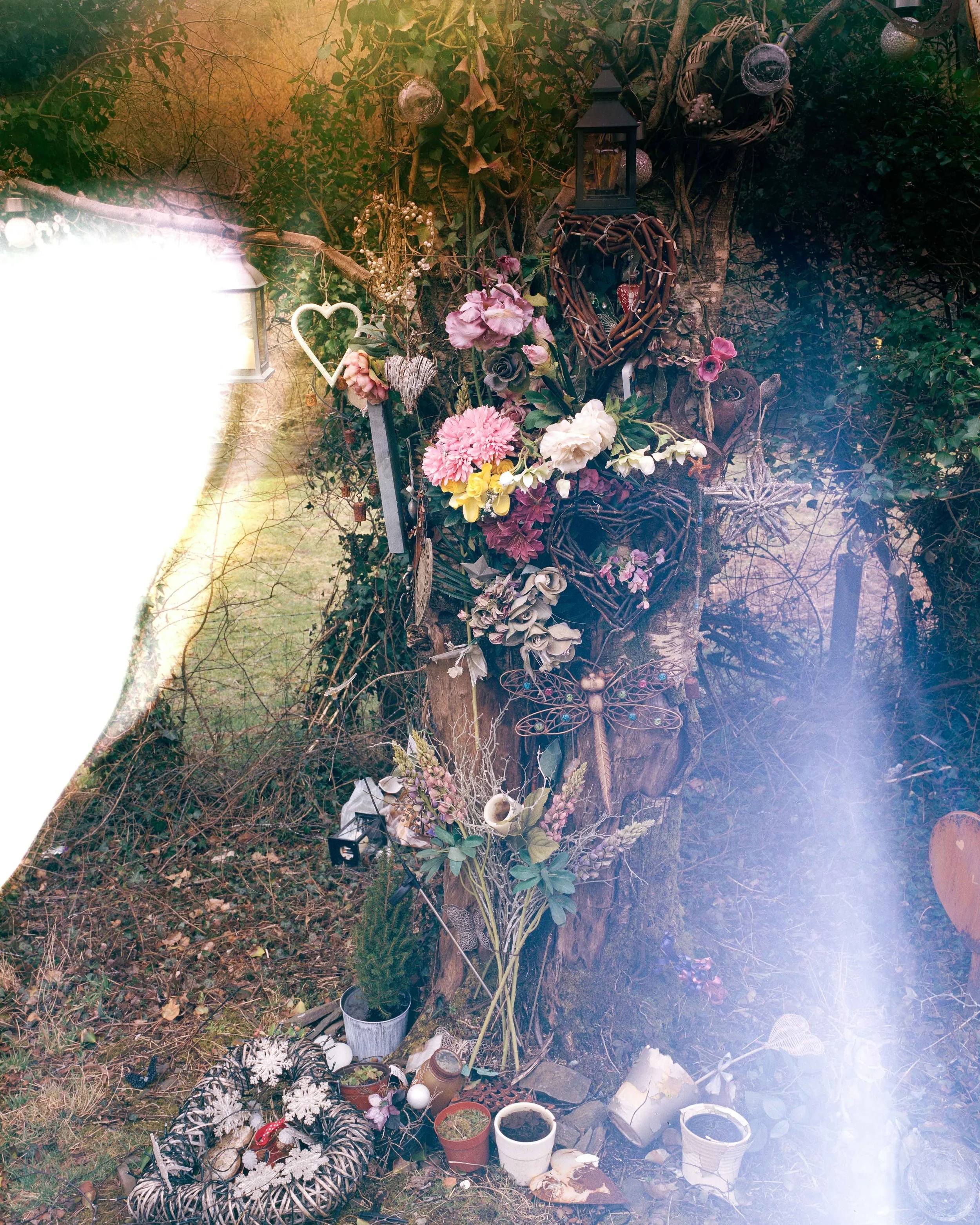 From the series Black Blood
