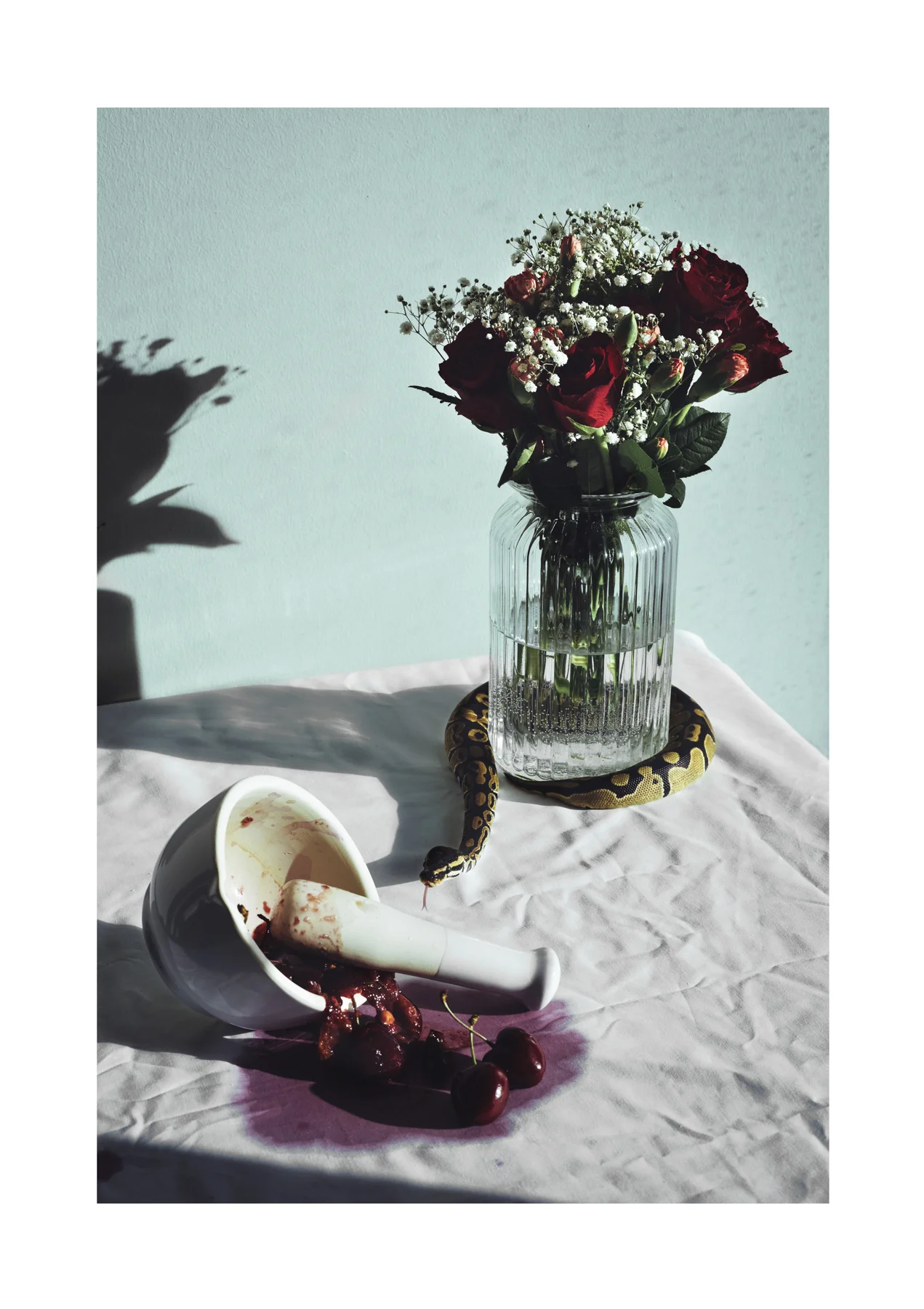 RAPTIO from the series SATIS