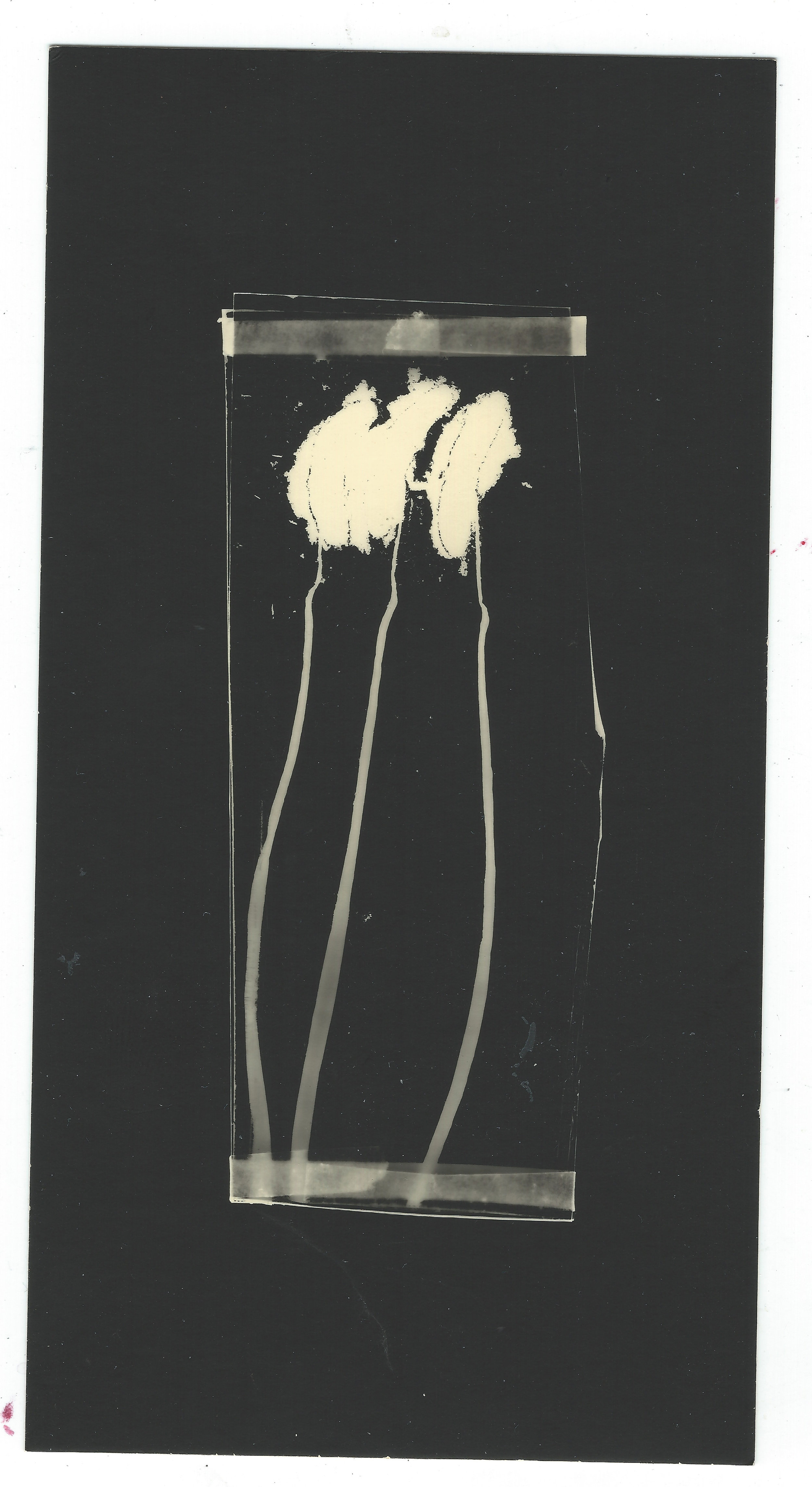 Images from the series Precious Fragments