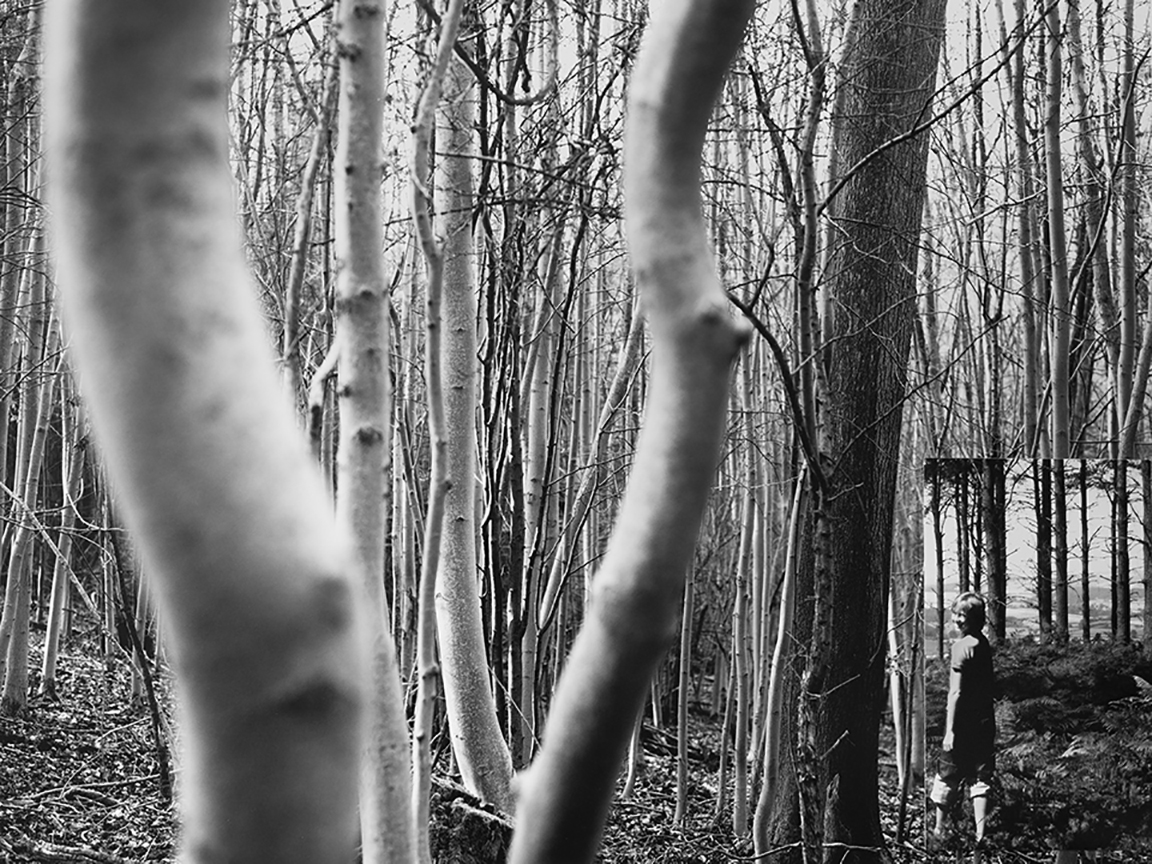 Images from the series Intimate Space