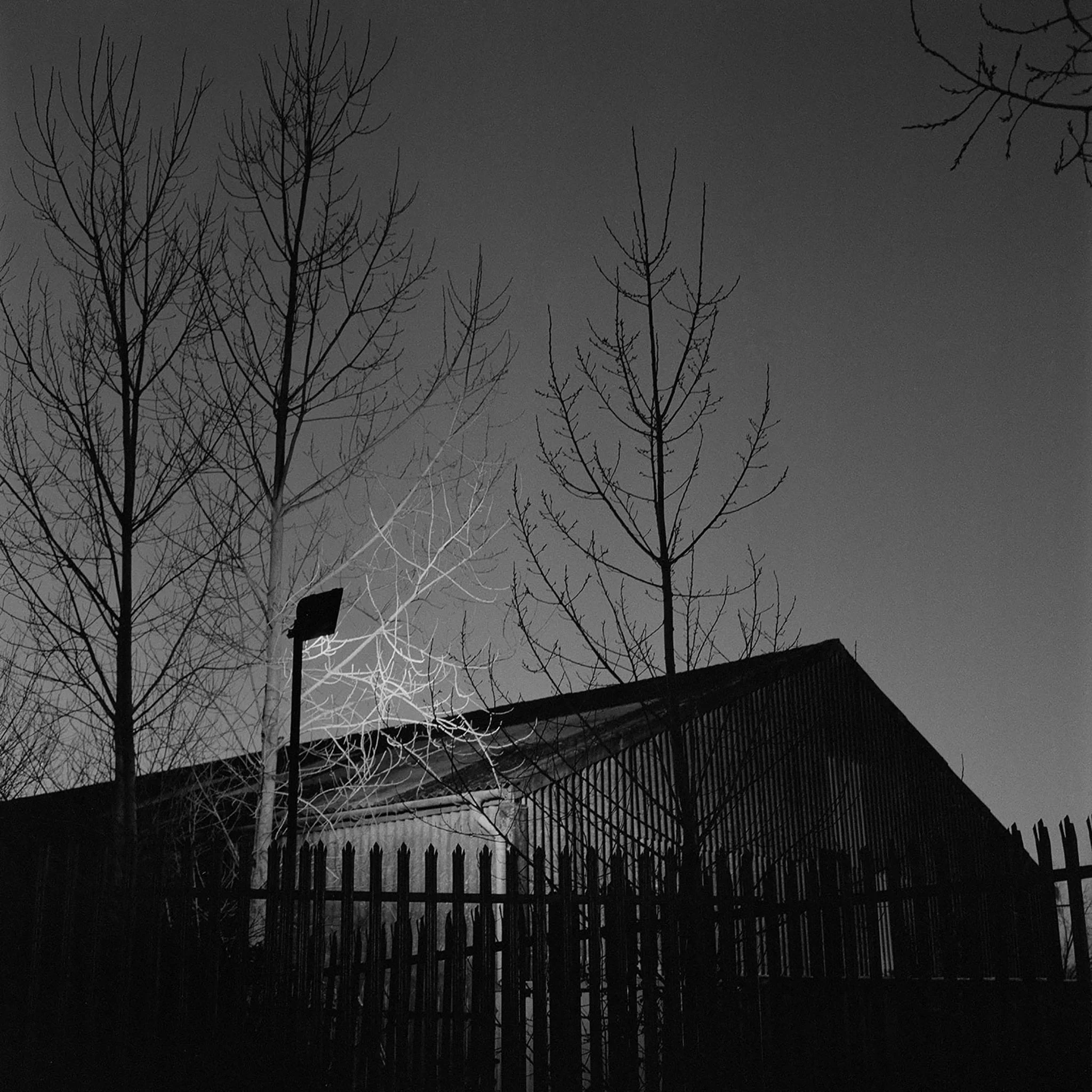Images from the series Blackmoor Vale