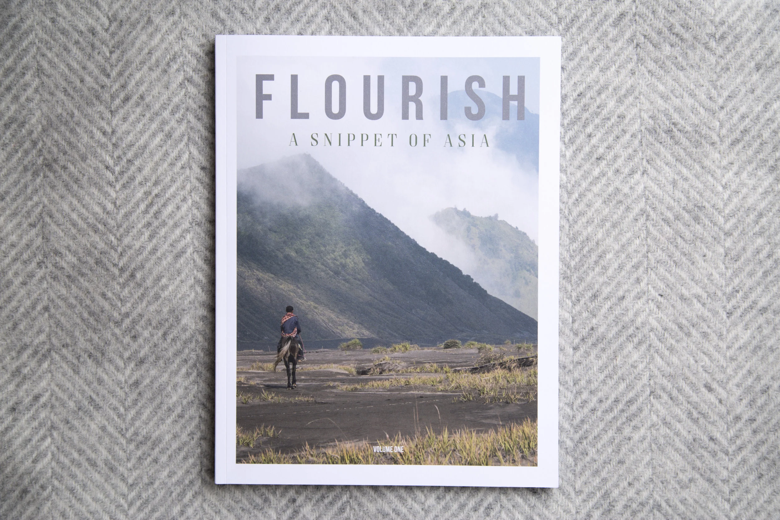 Volume 1 of Flourish