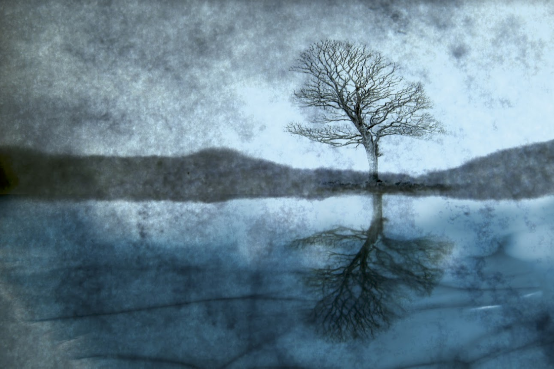Image by Cath Stanley