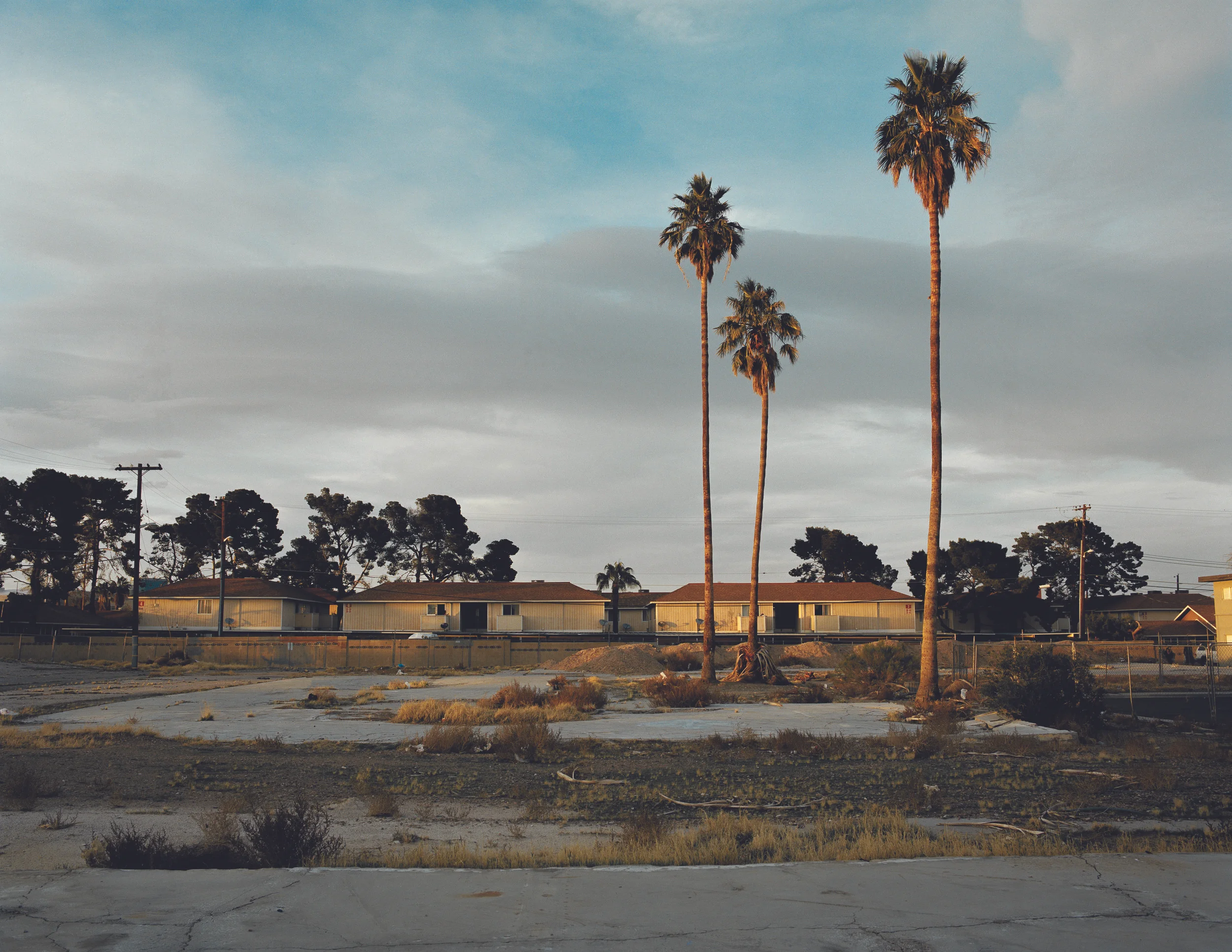 Image by Jack Minto