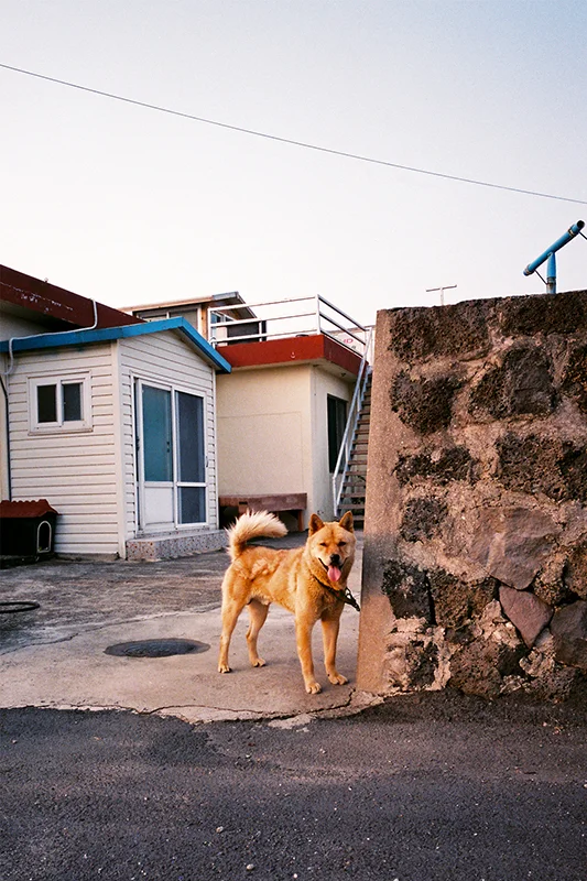 Image from the series 바람/Wind