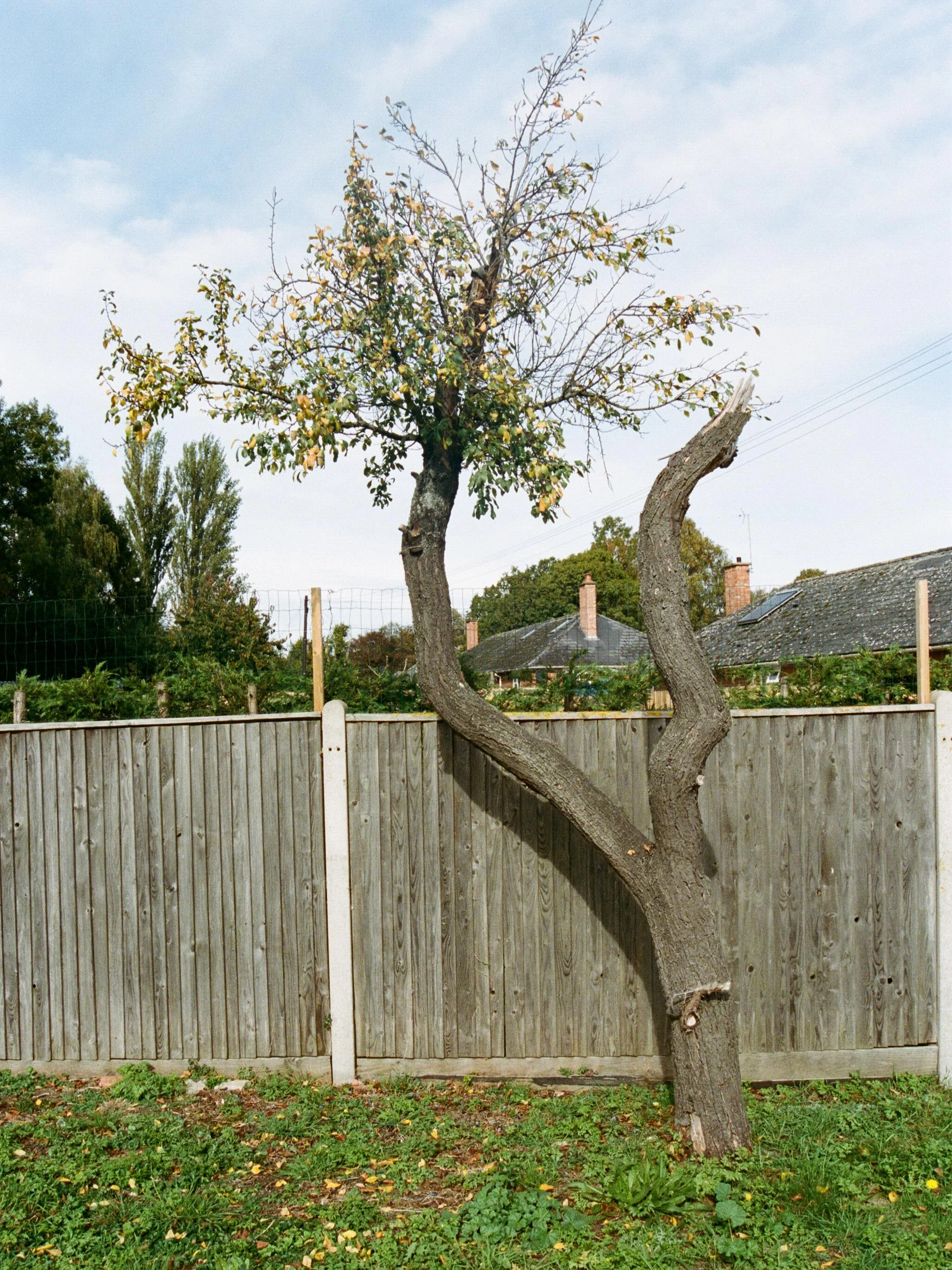 Image from the series A46