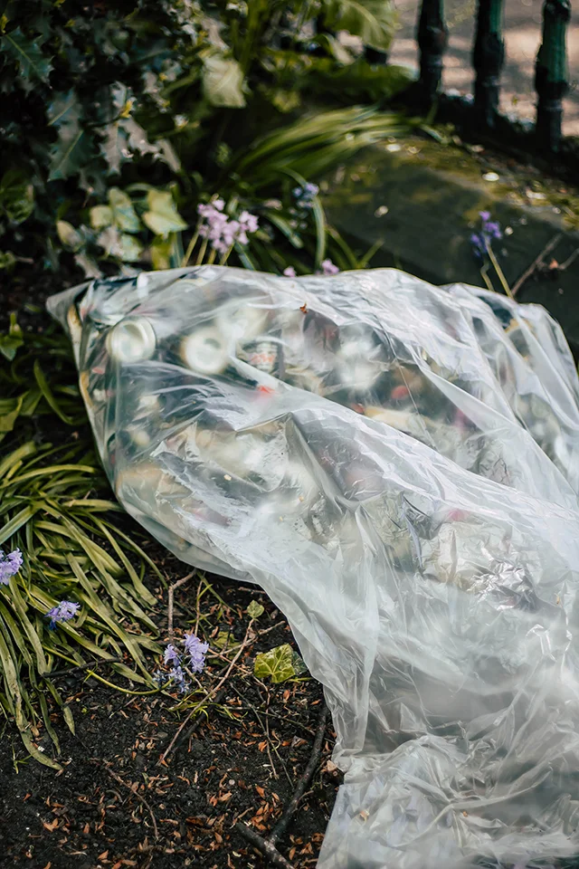 Image from the series Bright Eyes by Chloe Evelyn