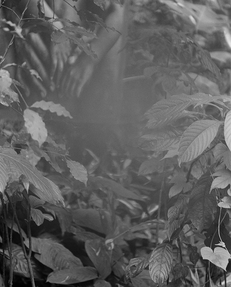 Images from the series That Thing Over There that surrounds and sustains us