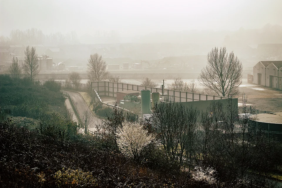 Images from the series Bright Eyes