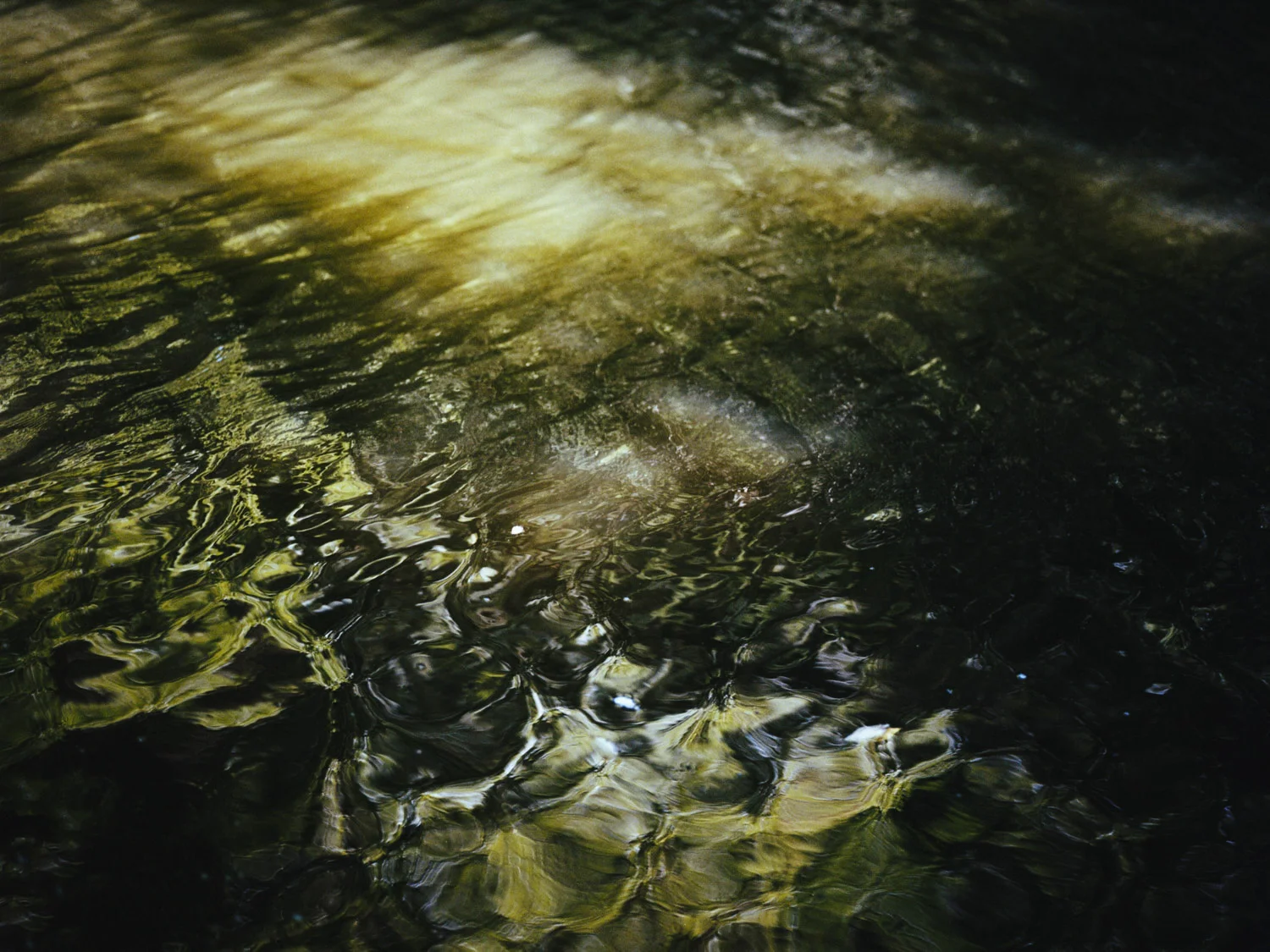 Image from the series TEIFI by Isabella Campbell