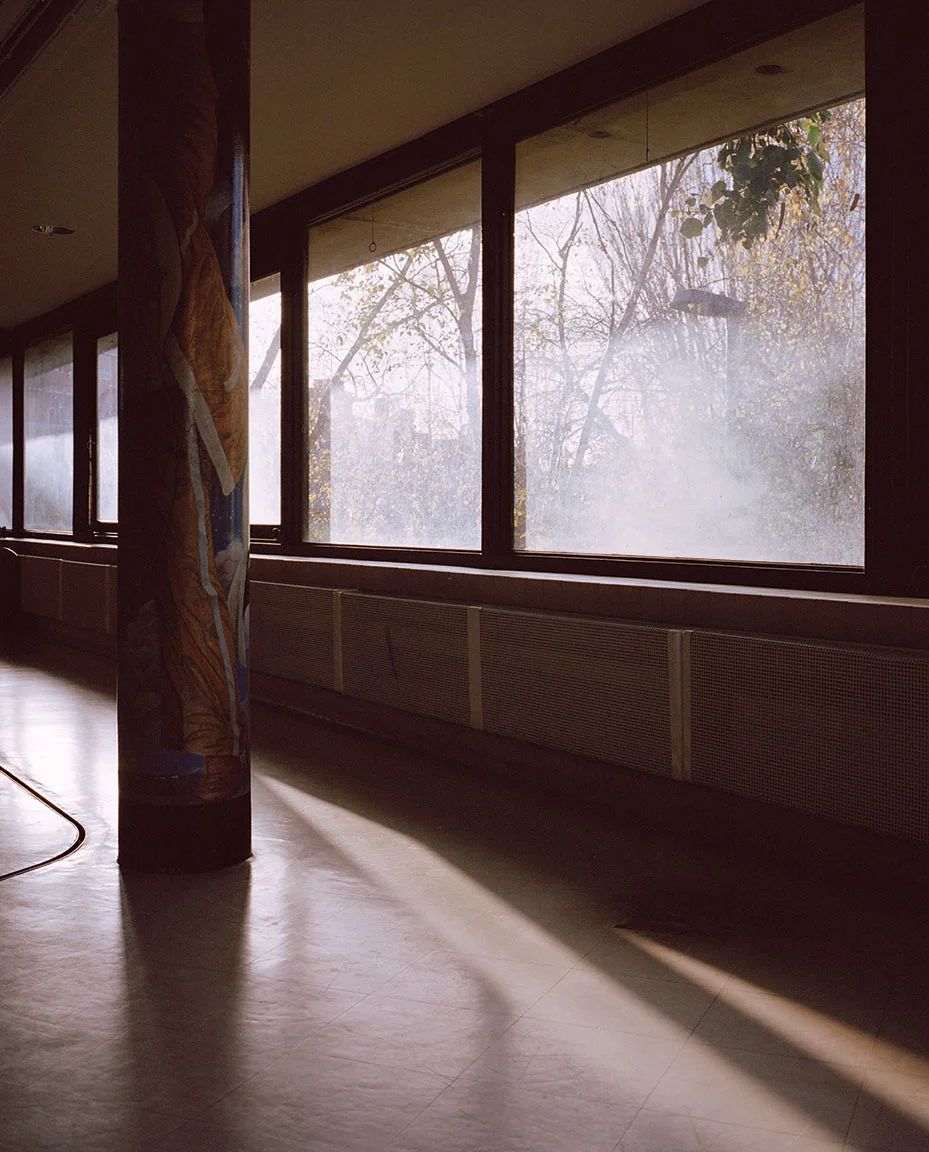 From the series Urban Evolution